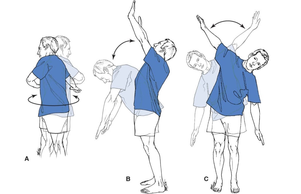 Movements of the back a: rotation, b: flexion/extension, c: lateral ...